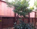 Pressure Treated Retaining Wall