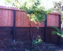 Pressure Treated Retaining Wall